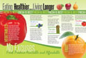 InDesign Layout